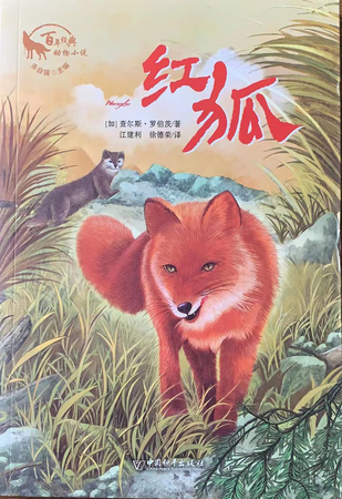 百年经典动物小说：红狐